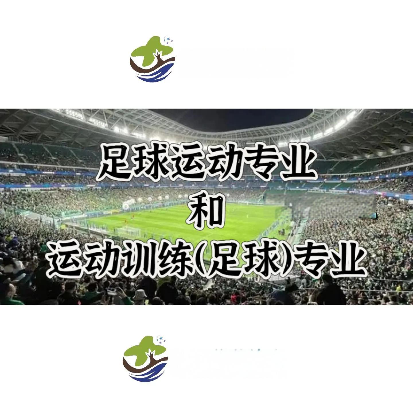 V体育：足球环境，能否净化？